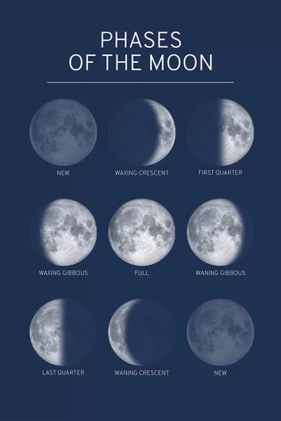 Kids Educational Art: Phases of the Moon Chart - Blue by GetYourNerdOn