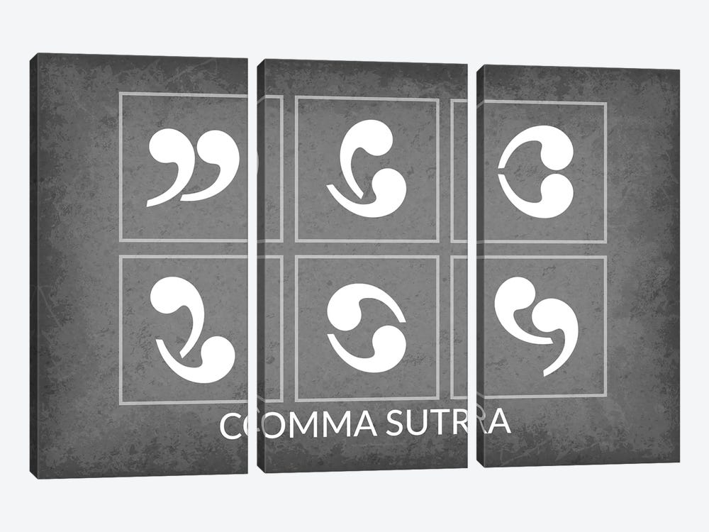 Comma Sutra by GetYourNerdOn 3-piece Canvas Print