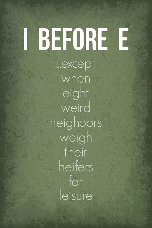 Funny I Before E Exceptions by GetYourNerdOn wall art