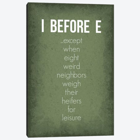 Funny I Before E Exceptions Canvas Print #GYO168} by GetYourNerdOn Art Print