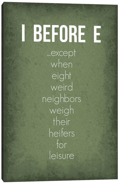 Funny I Before E Exceptions Canvas Art Print - GetYourNerdOn