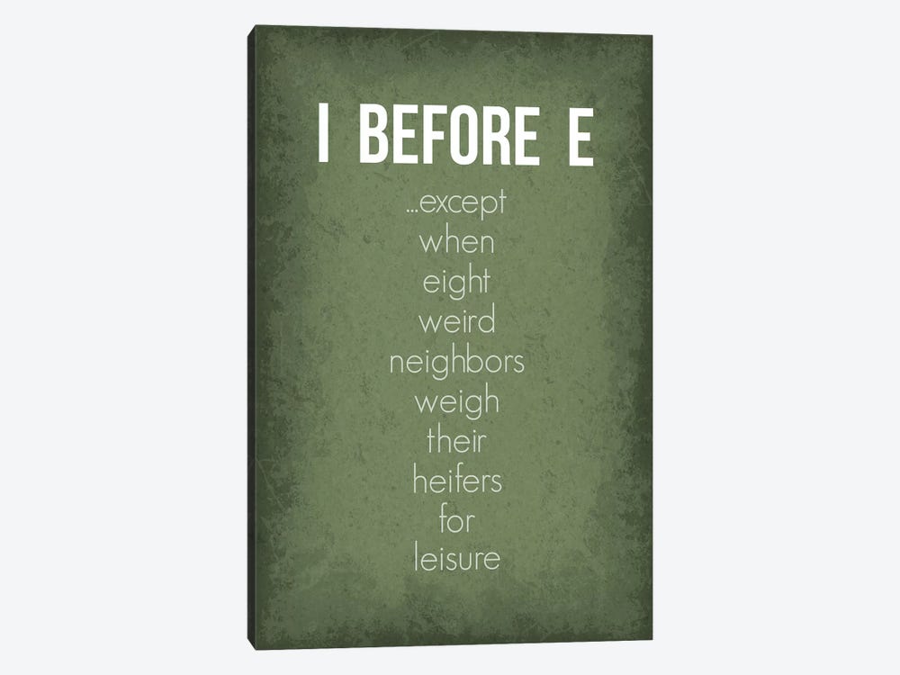 Funny I Before E Exceptions by GetYourNerdOn 1-piece Canvas Artwork