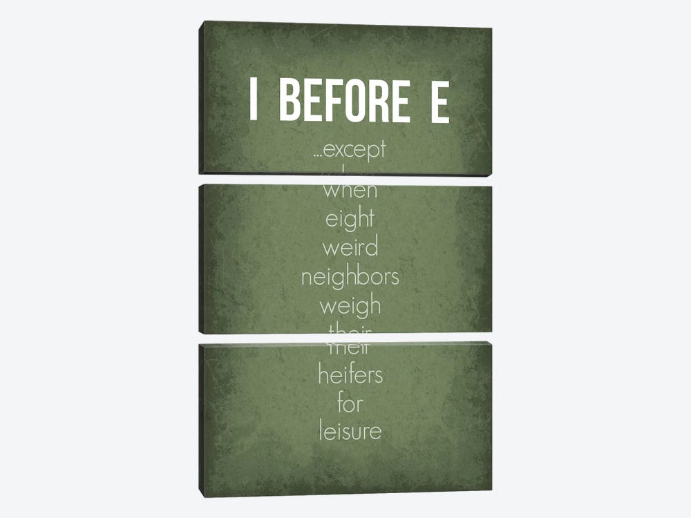 Funny I Before E Exceptions by GetYourNerdOn 3-piece Canvas Wall Art