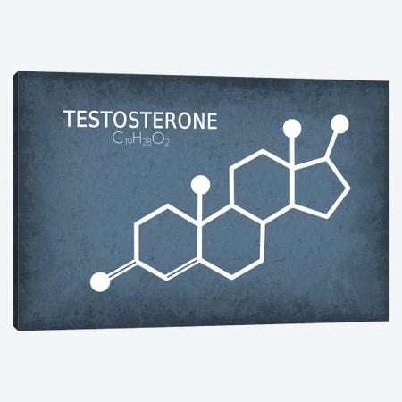 Testosterone Molecule Canvas Print #GYO171} by GetYourNerdOn Canvas Art