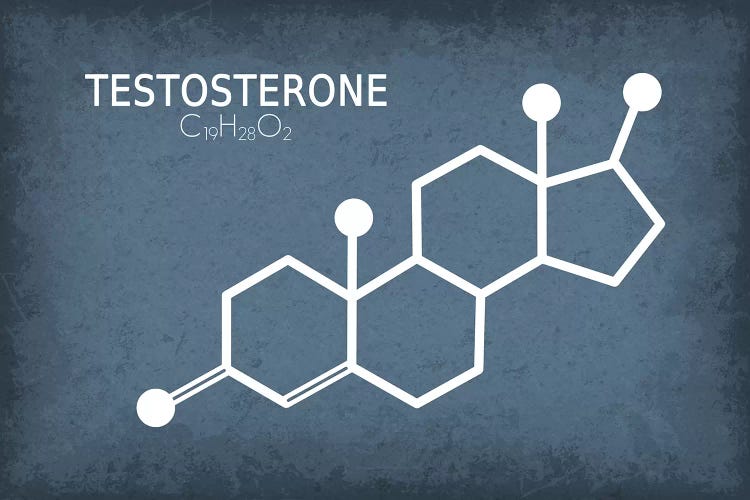 Testosterone Molecule by GetYourNerdOn wall art