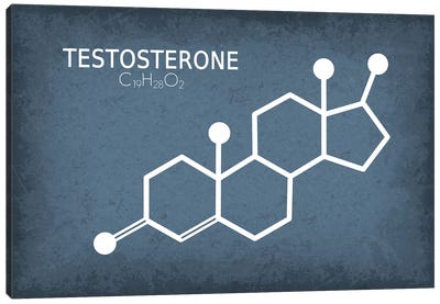 Testosterone Molecule Canvas Art Print - Chemistry Art