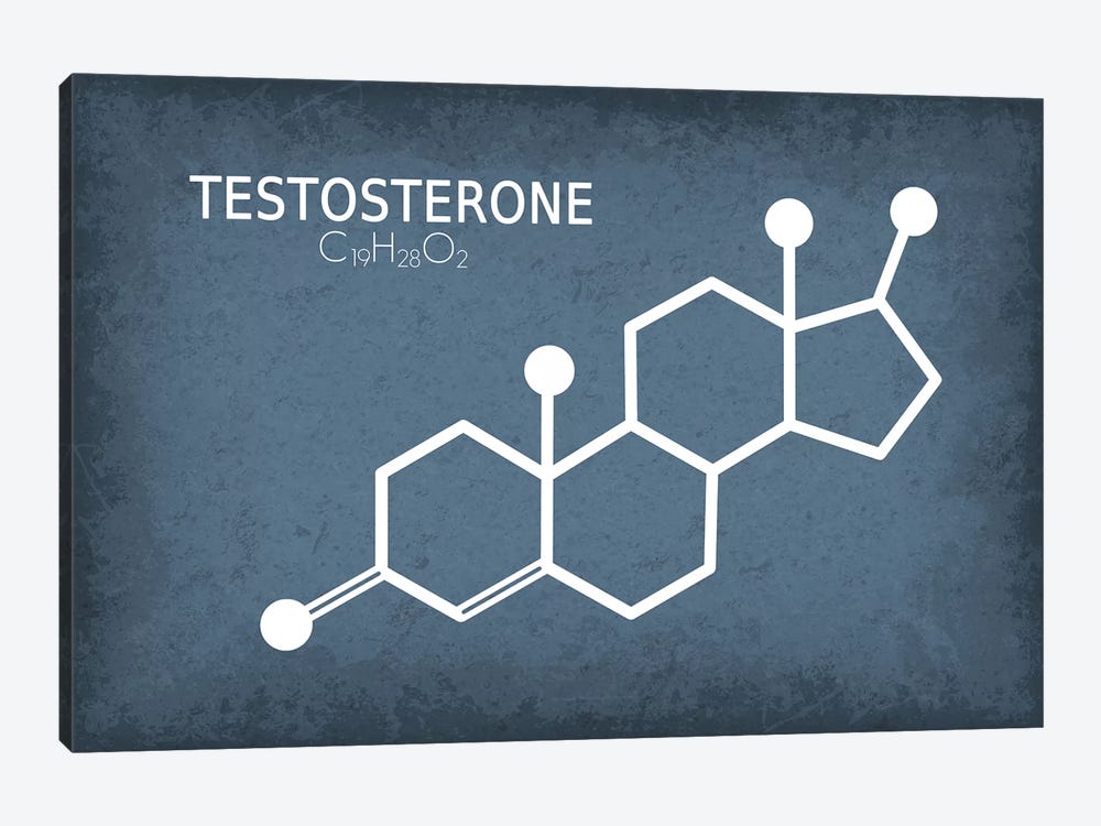 Testosterone Molecule by GetYourNerdOn 1-piece Canvas Wall Art