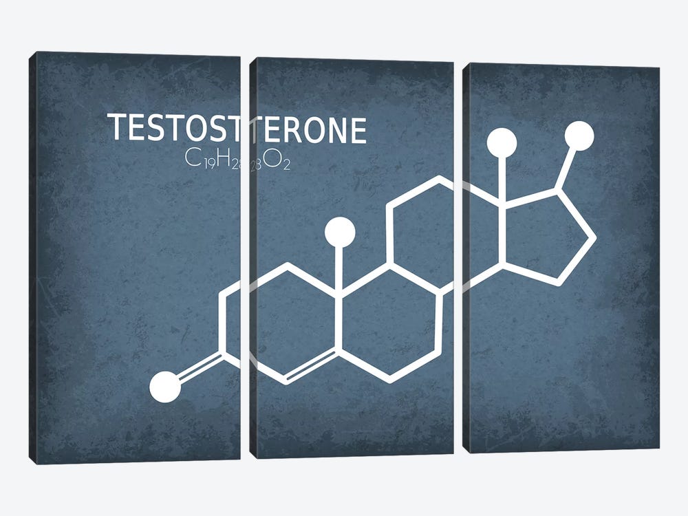 Testosterone Molecule by GetYourNerdOn 3-piece Canvas Art