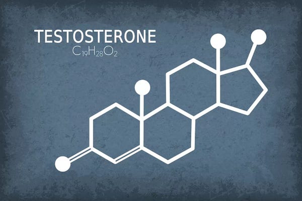 Science: Testosterone Molecule by GetYourNerdOn