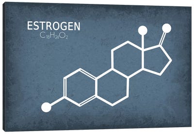 Estrogen Molecule Canvas Art Print - Chemistry Art