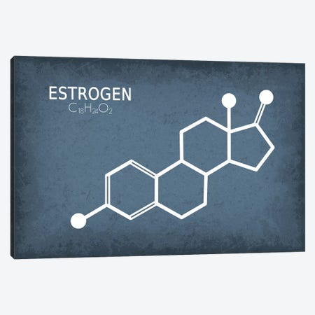 Estrogen Molecule Canvas Print #GYO172} by GetYourNerdOn Canvas Artwork