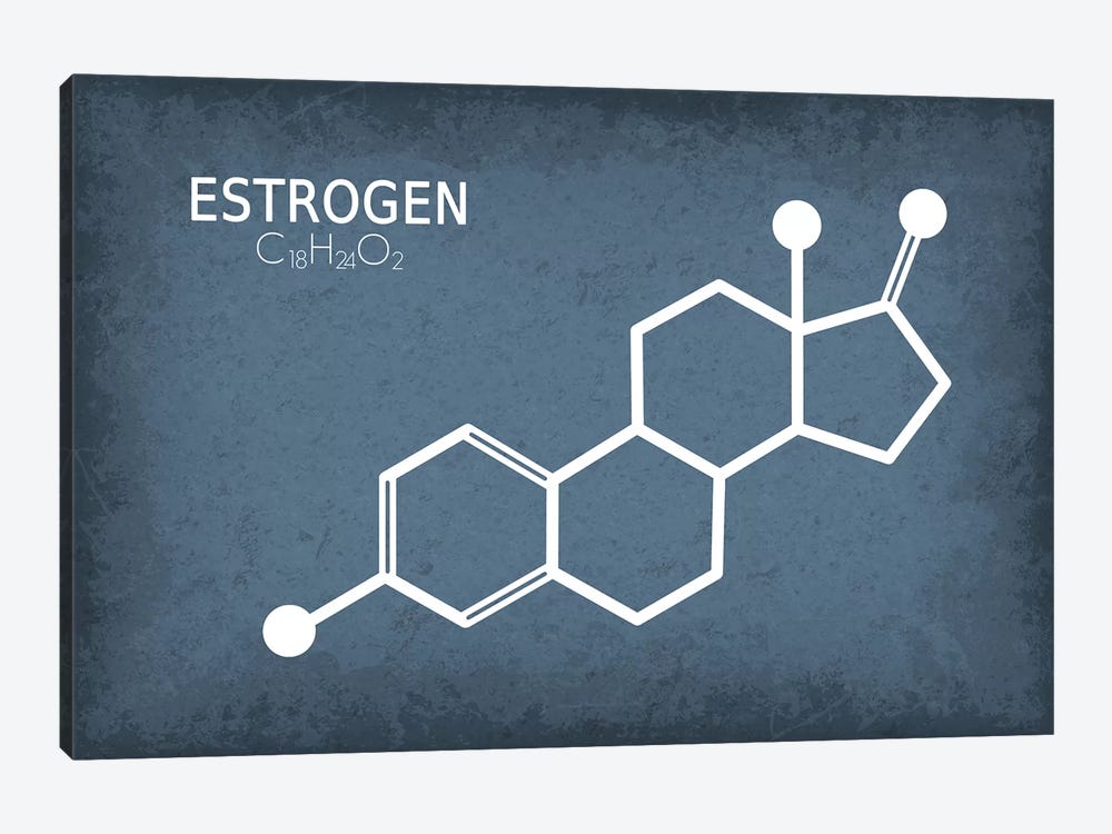 Estrogen Molecule by GetYourNerdOn 1-piece Canvas Print