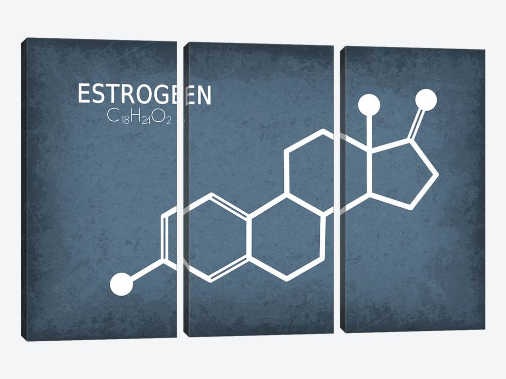 Estrogen Molecule by GetYourNerdOn 3-piece Canvas Art Print