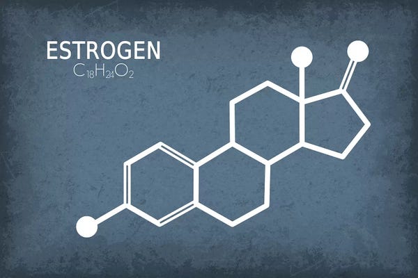 Chemistry: Estrogen Molecule by GetYourNerdOn