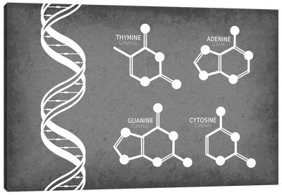 DNA Strand with Nucleotide Molecules Canvas Art Print - Chemistry Art