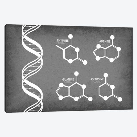 DNA Strand with Nucleotide Molecules Canvas Print #GYO173} by GetYourNerdOn Canvas Wall Art