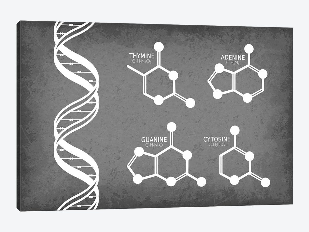 DNA Strand with Nucleotide Molecules by GetYourNerdOn 1-piece Canvas Artwork