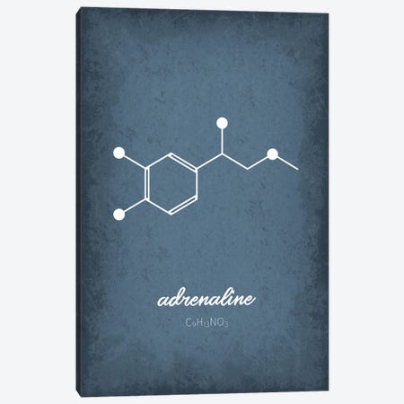 Adrenaline Molecule Canvas Print #GYO187} by GetYourNerdOn Canvas Artwork