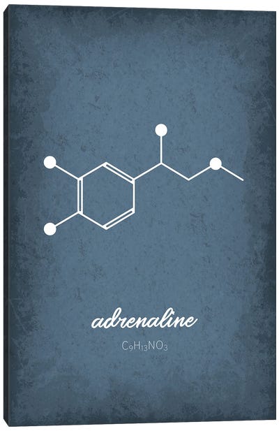 Adrenaline Molecule Canvas Art Print - Chemistry Art
