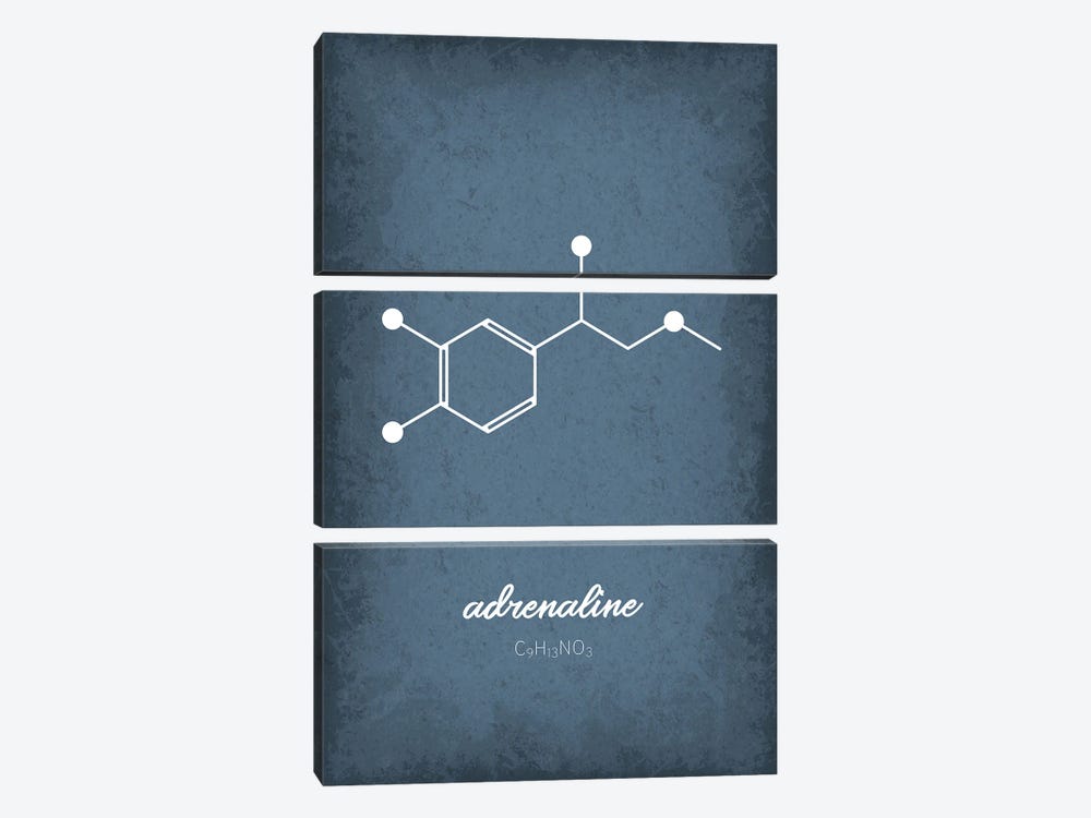 Adrenaline Molecule by GetYourNerdOn 3-piece Canvas Print
