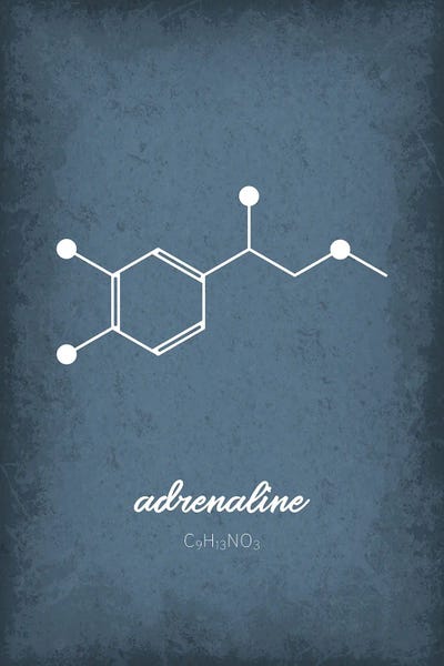 Chemistry: Adrenaline Molecule by GetYourNerdOn