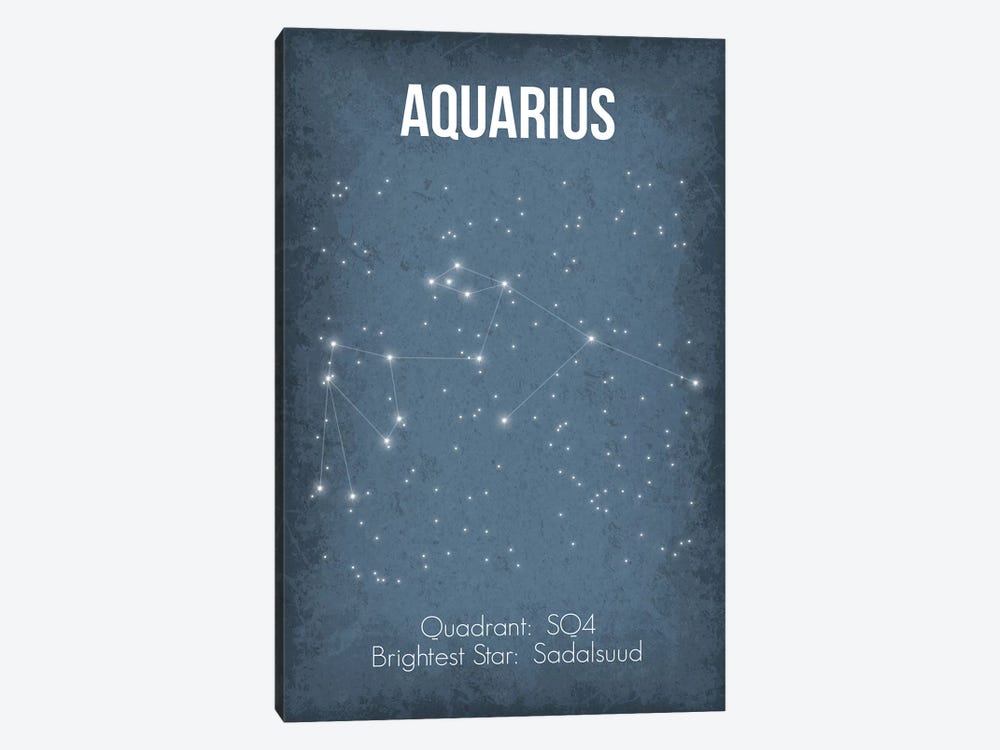 Aquarius by GetYourNerdOn 1-piece Canvas Art Print