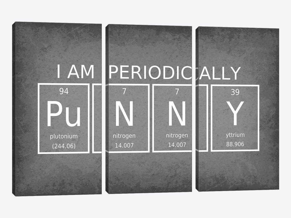 I Am Peridiocally Punny by GetYourNerdOn 3-piece Canvas Art Print