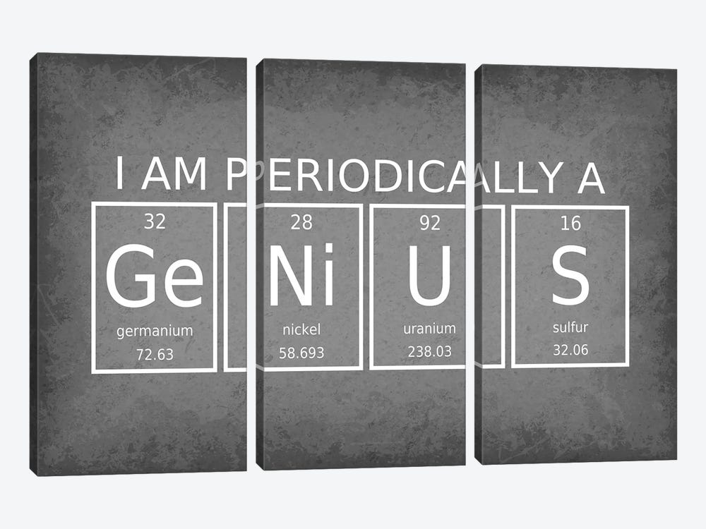 I Am Periodically A Genius by GetYourNerdOn 3-piece Canvas Artwork