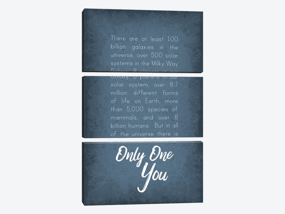 There Is Only One You II by GetYourNerdOn 3-piece Canvas Art Print