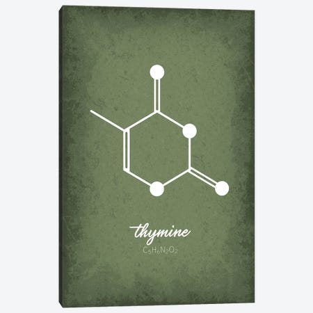 Thymine Molecule Canvas Print #GYO222} by GetYourNerdOn Canvas Artwork