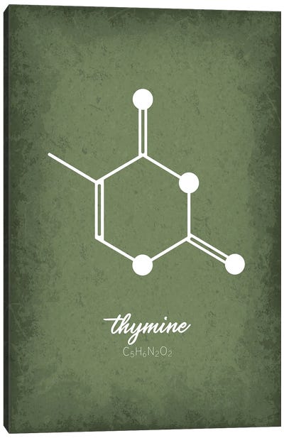 Thymine Molecule Canvas Art Print - Chemistry Art
