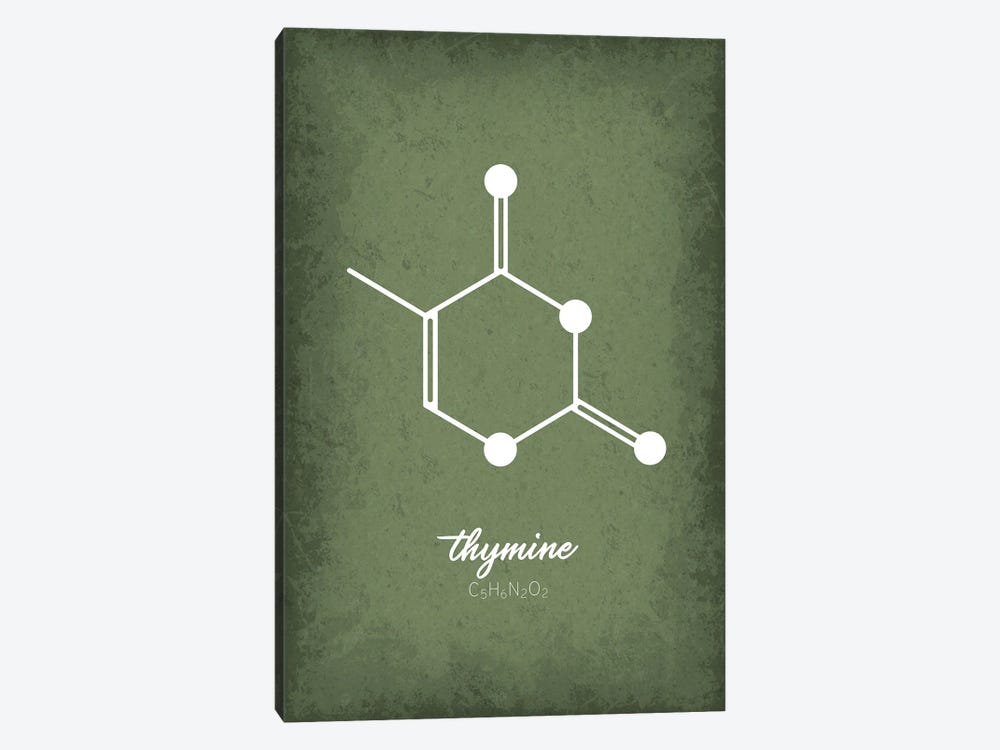 Thymine Molecule by GetYourNerdOn 1-piece Canvas Art