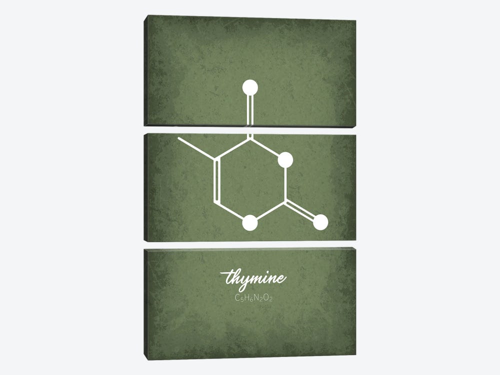 Thymine Molecule by GetYourNerdOn 3-piece Canvas Art