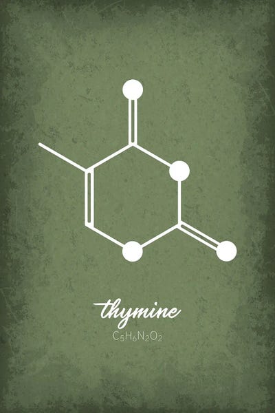 Chemistry: Thymine Molecule by GetYourNerdOn