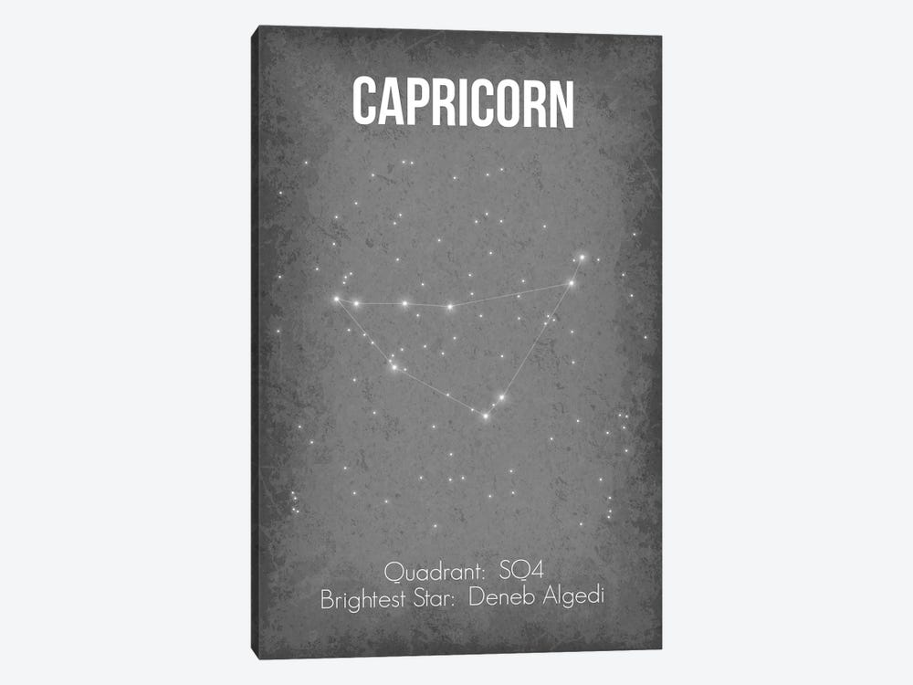 Capricorn by GetYourNerdOn 1-piece Canvas Art