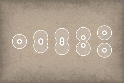 Cell Division by GetYourNerdOn multi panel art