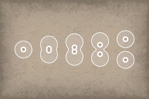 GetYourNerdOn: Cell Division by GetYourNerdOn