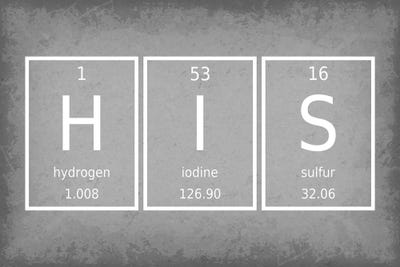 His - Periodic Table Elements by GetYourNerdOn multi panel art