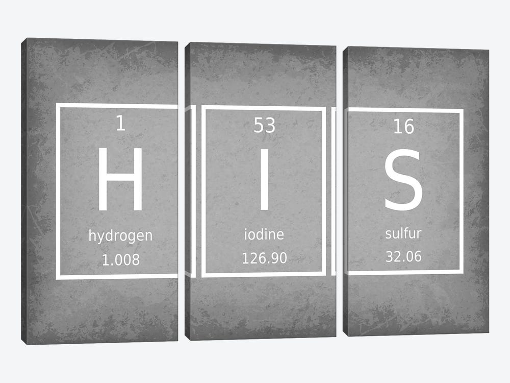 His - Periodic Table Elements by GetYourNerdOn 3-piece Canvas Art