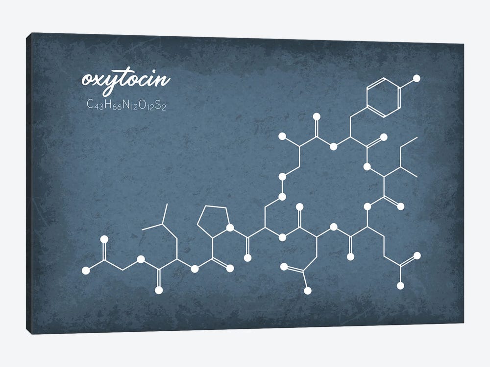 Oxytocin Molecule II by GetYourNerdOn 1-piece Canvas Art Print