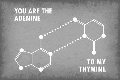 You Are The Adenine To My Thymine by GetYourNerdOn multi panel art