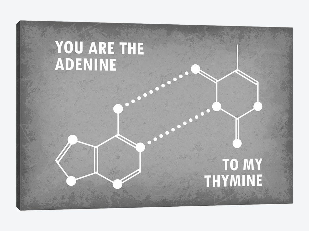 You Are The Adenine To My Thymine by GetYourNerdOn 1-piece Canvas Artwork