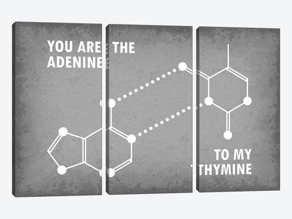 You Are The Adenine To My Thymine by GetYourNerdOn 3-piece Canvas Art