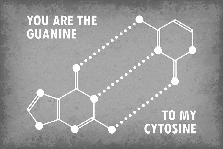 You Are The Guanine To My Cytosine