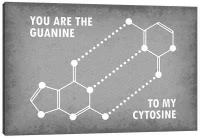 You Are The Guanine To My Cytosine Canvas Art Print - GetYourNerdOn