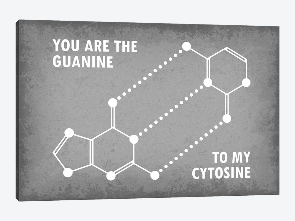 You Are The Guanine To My Cytosine by GetYourNerdOn 1-piece Canvas Art