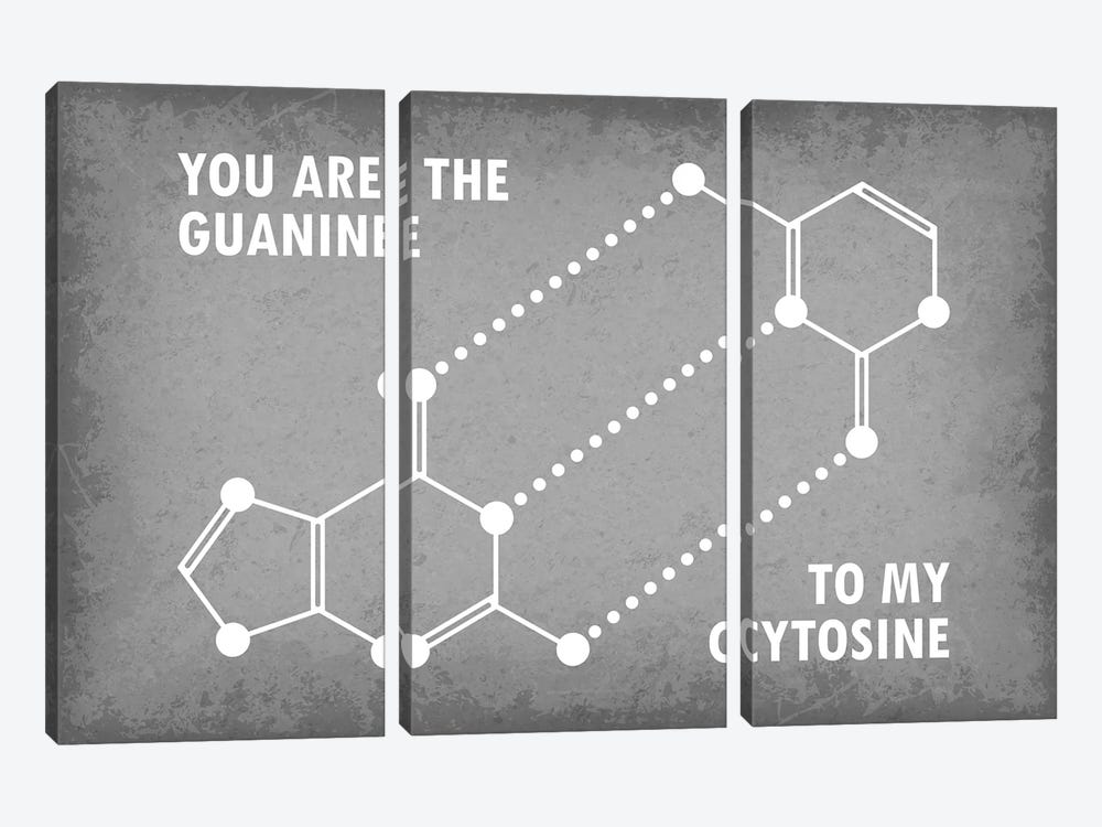 You Are The Guanine To My Cytosine by GetYourNerdOn 3-piece Canvas Wall Art