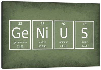 Genius Canvas Art Print - Chemistry Art