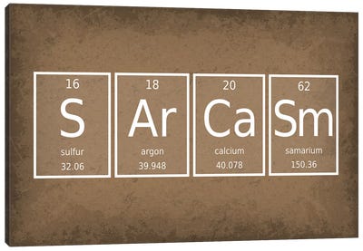 Sarcasm Canvas Art Print - Chemistry Art