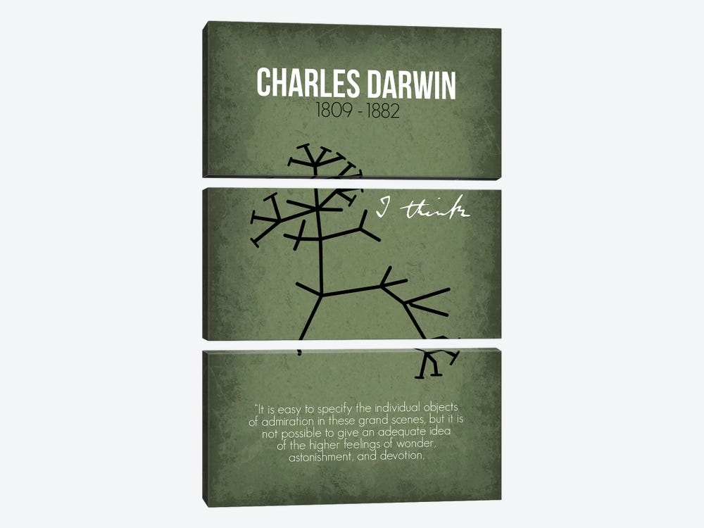 Charles Darwin by GetYourNerdOn 3-piece Canvas Art Print